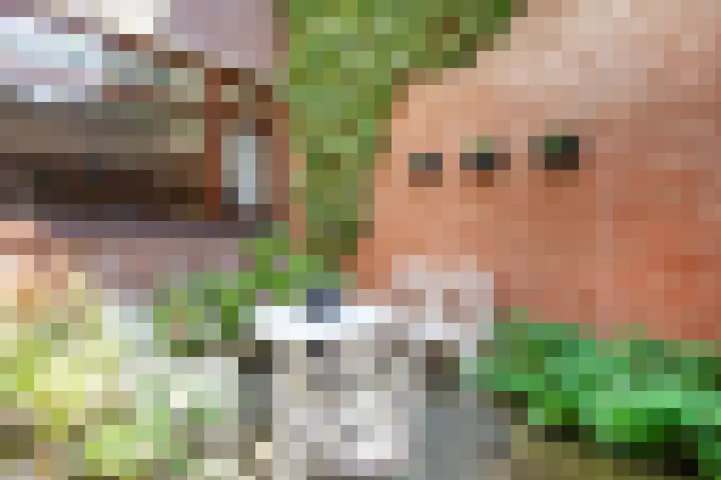 Vliek 1 Haarlem thumbnail 13