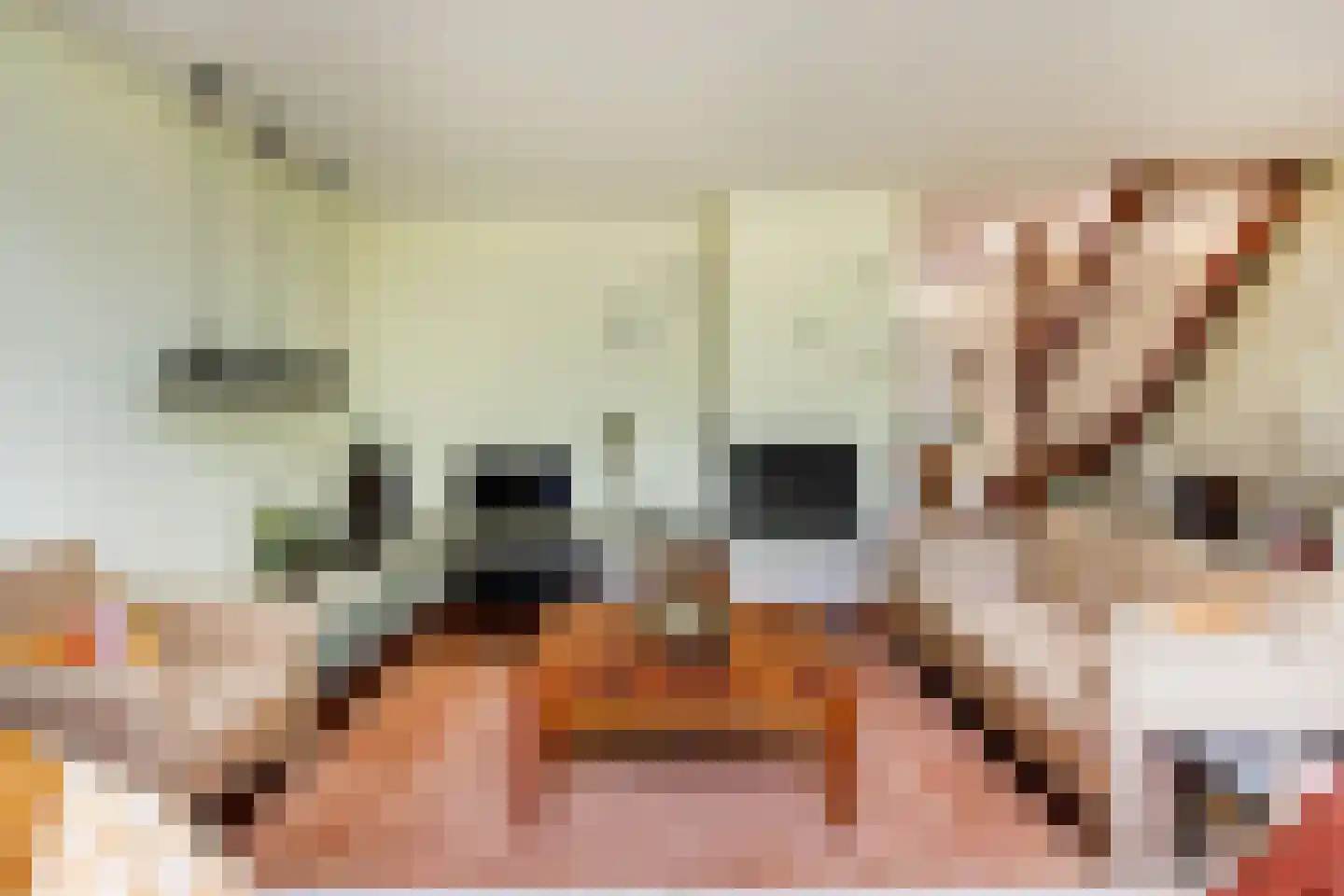 Vliek 1 Haarlem thumbnail 16