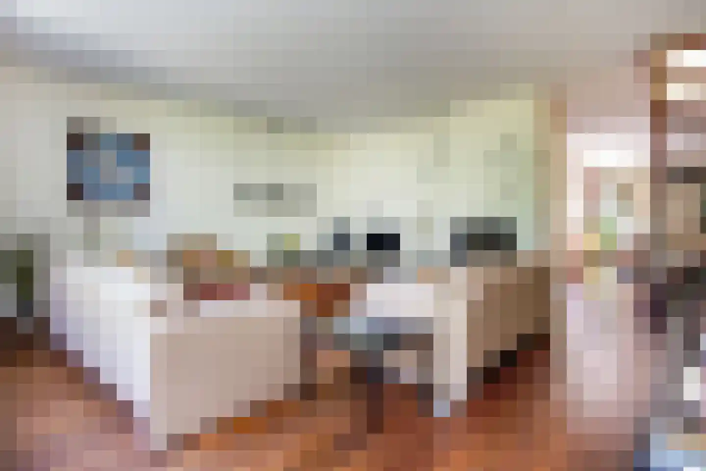Vliek 1 Haarlem thumbnail 17