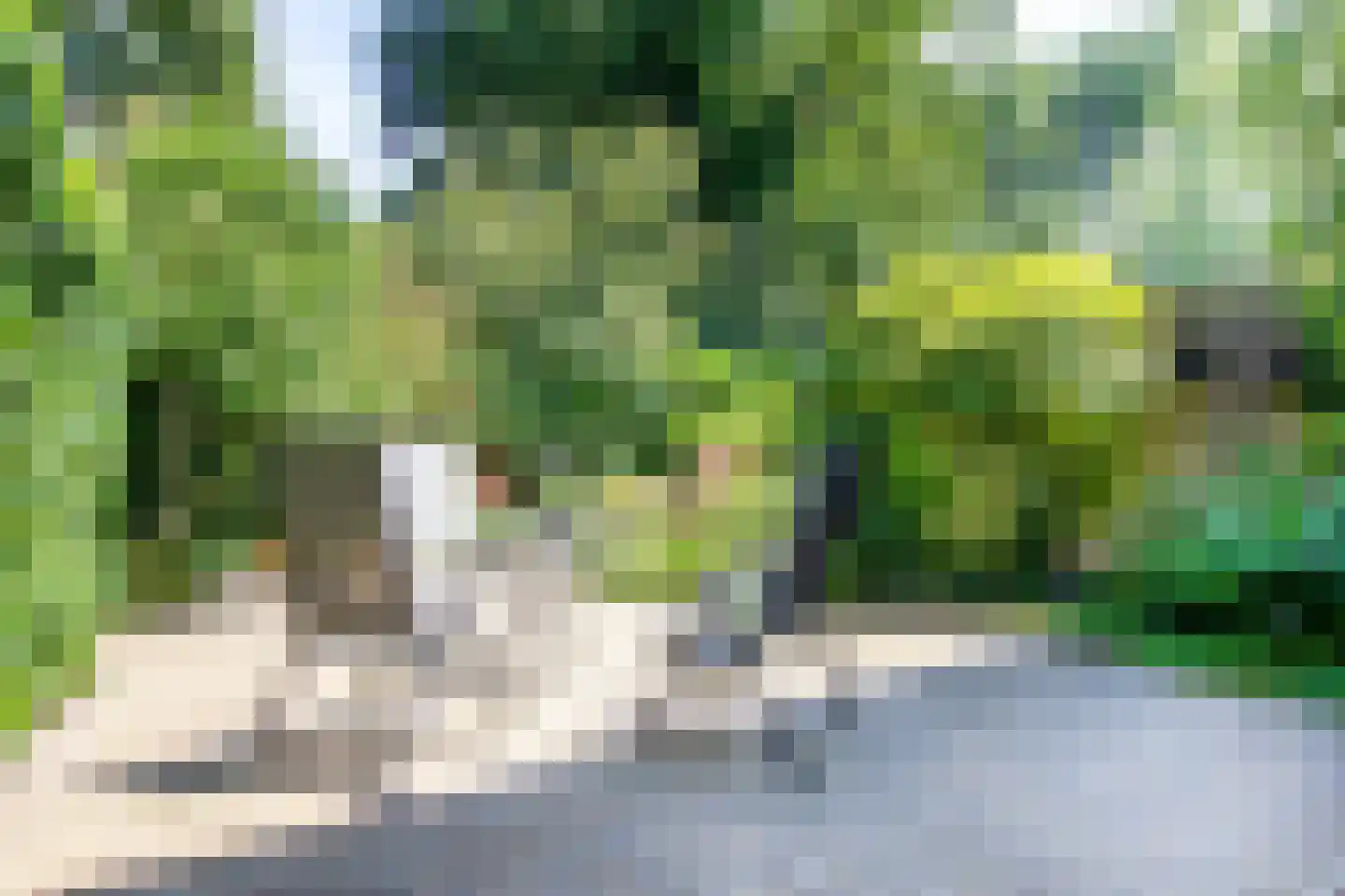 Vliek 1 Haarlem thumbnail 20