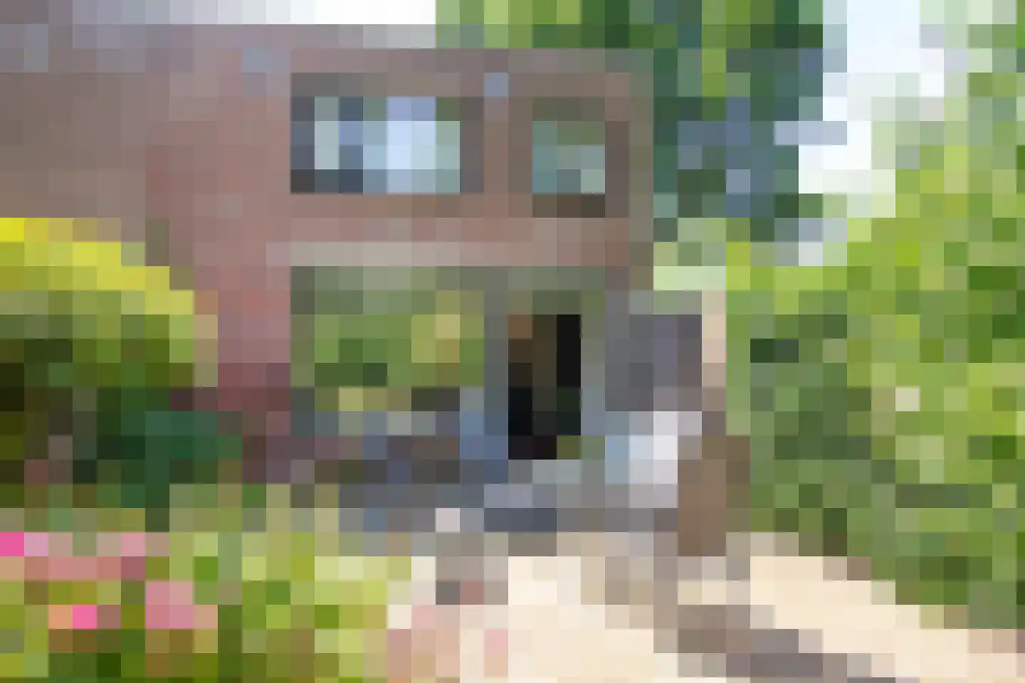 Vliek 1 Haarlem thumbnail 21