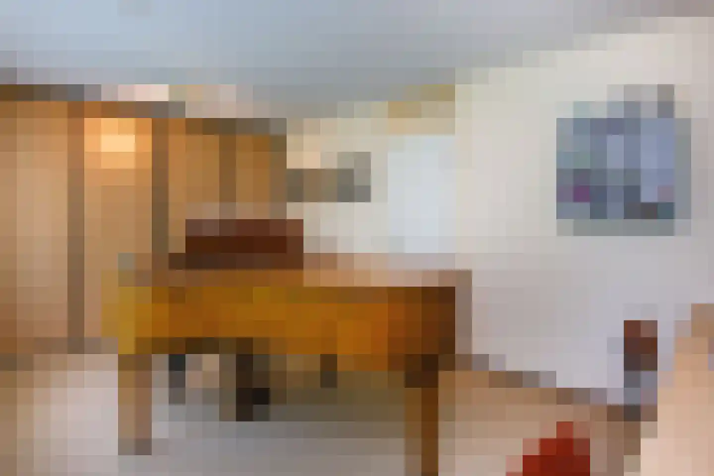 Vliek 1 Haarlem thumbnail 25