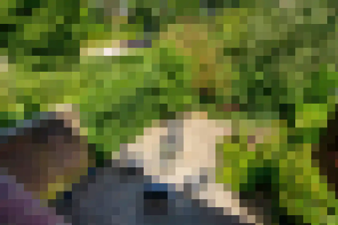 Vliek 1 Haarlem thumbnail 26