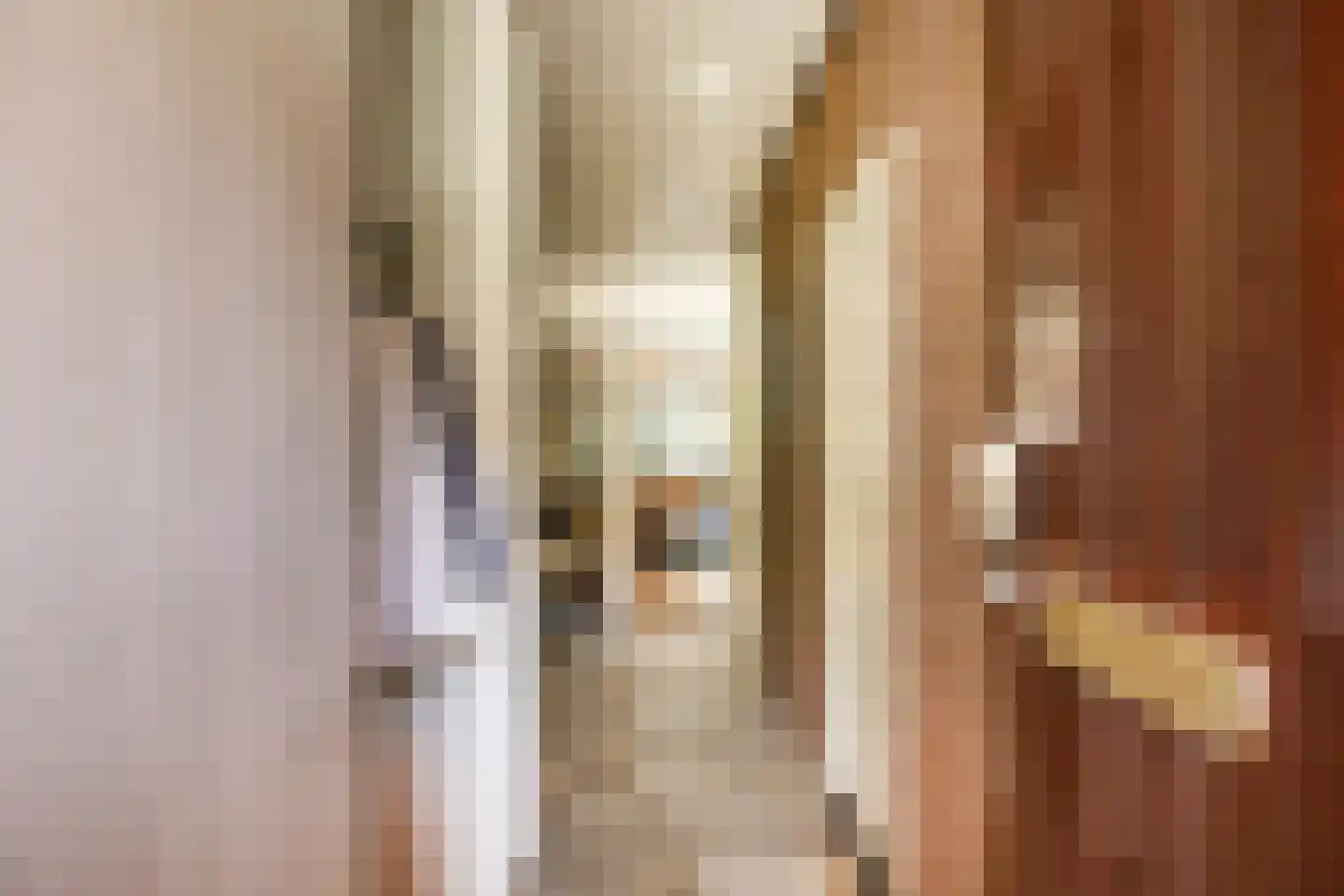 Vliek 1 Haarlem thumbnail 4