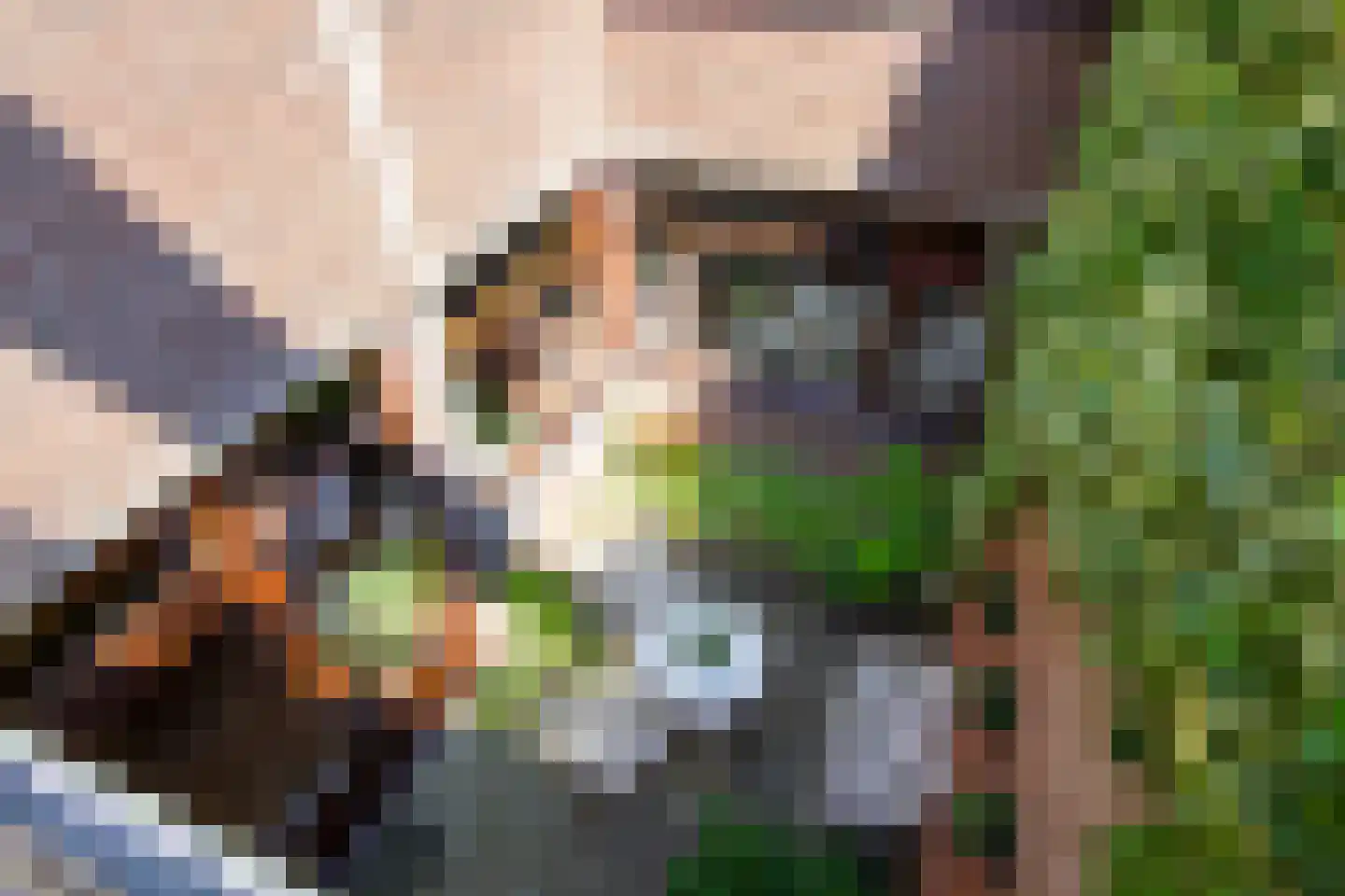Vliek 1 Haarlem thumbnail 42