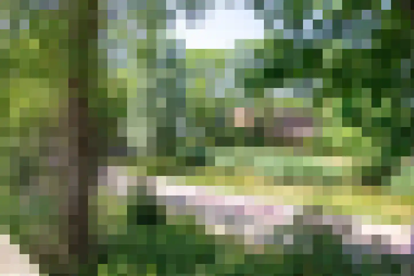 Vliek 1 Haarlem thumbnail 43
