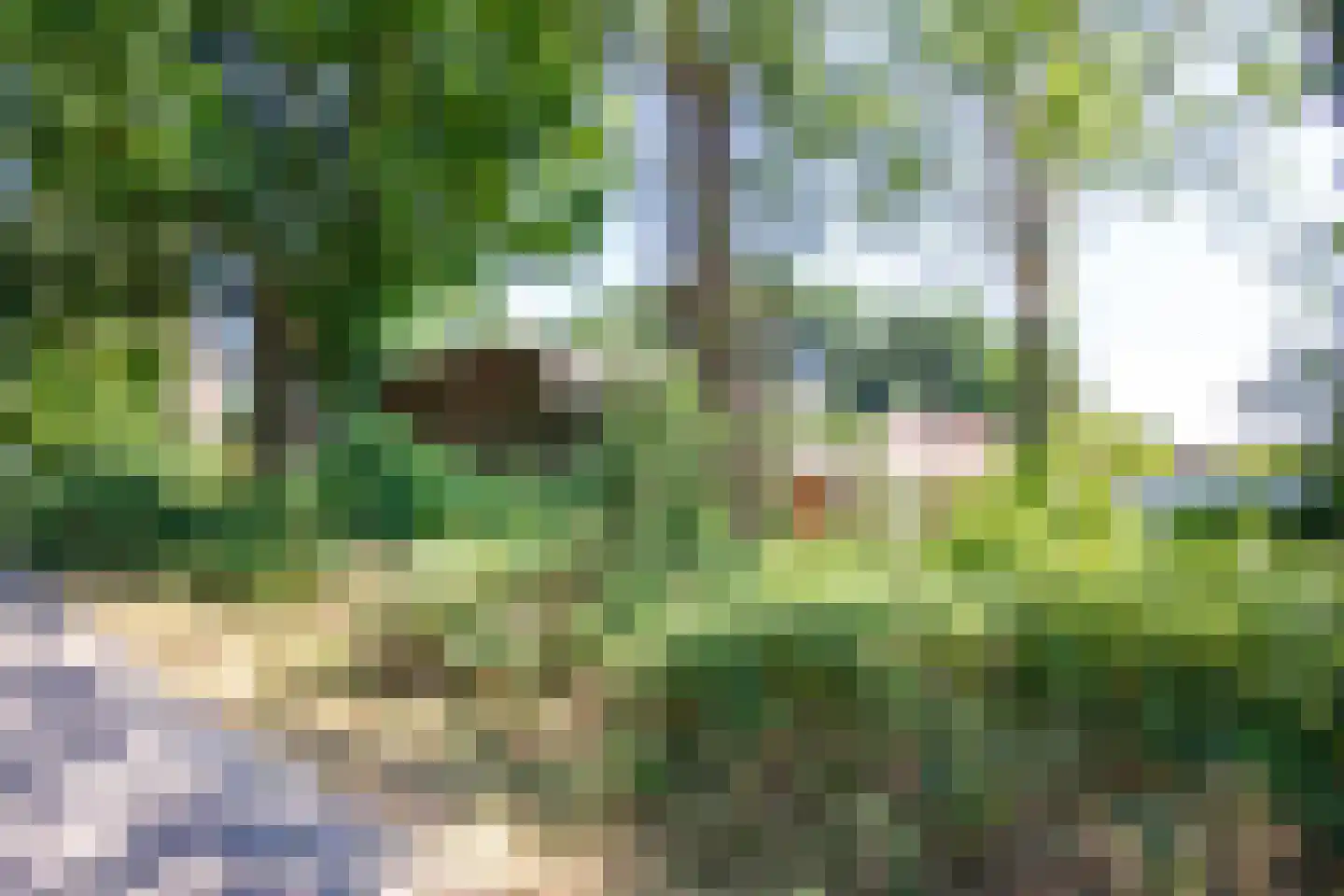 Vliek 1 Haarlem thumbnail 46