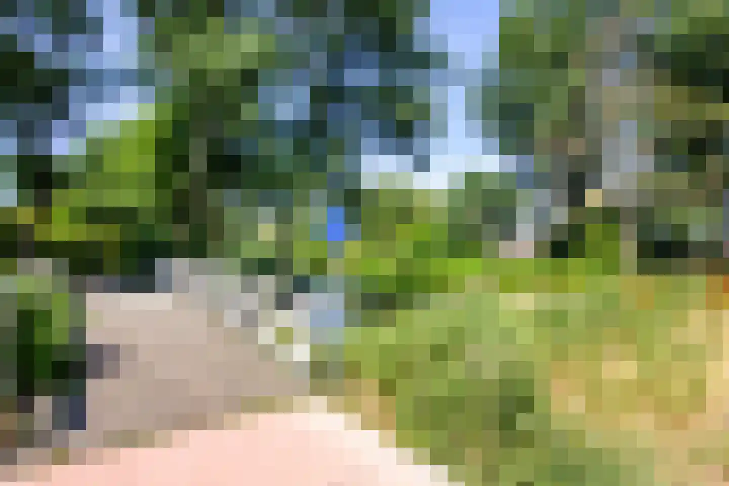 Vliek 1 Haarlem thumbnail 47