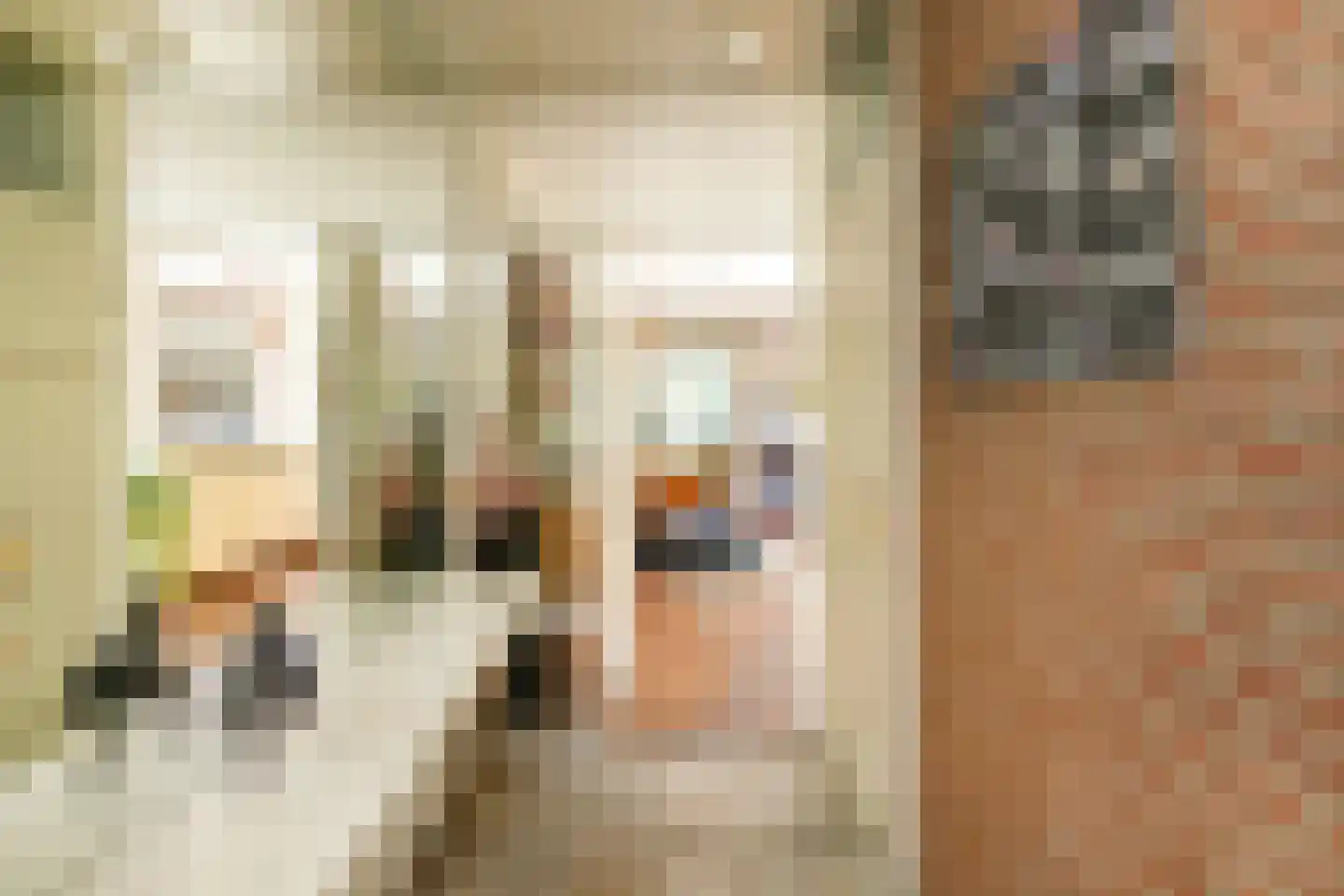 Vliek 1 Haarlem thumbnail 5