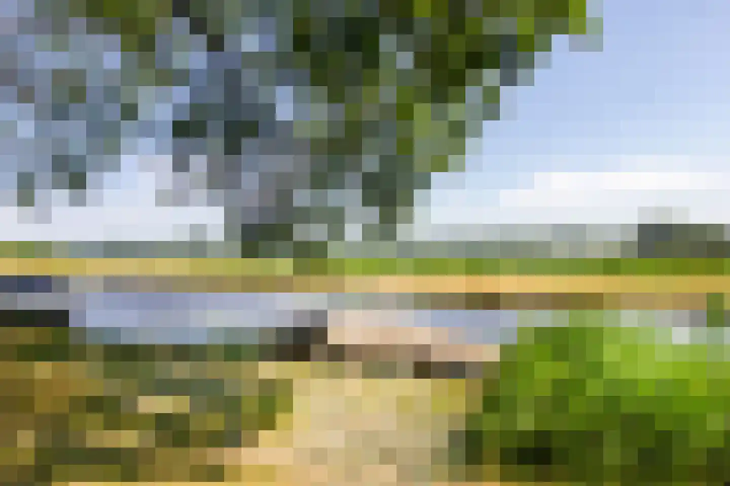 Vliek 1 Haarlem thumbnail 50