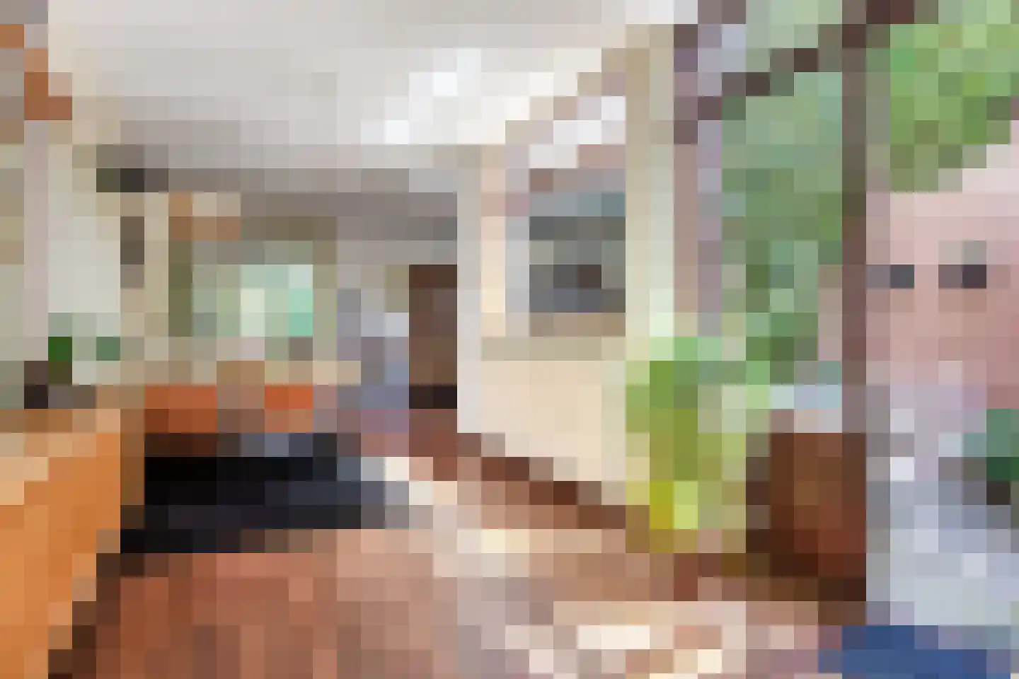Vliek 1 Haarlem thumbnail 6