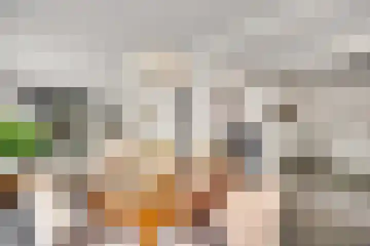Vliek 12 Ulestraten thumbnail 10