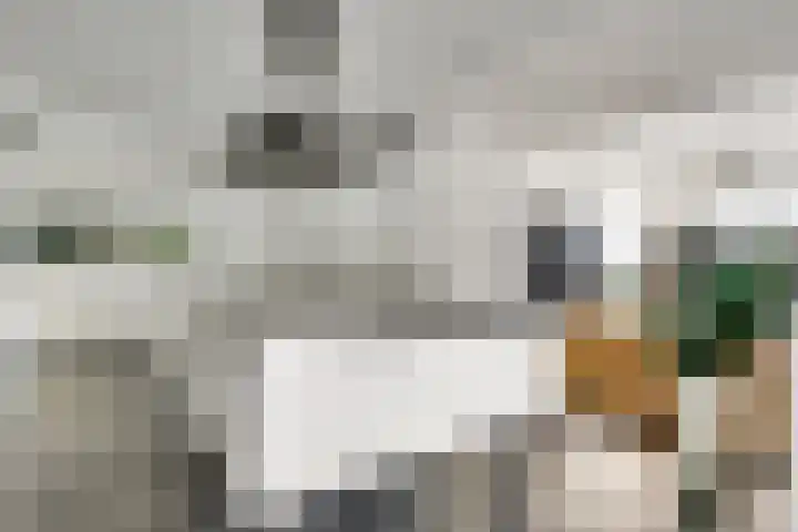 Vliek 12 Ulestraten thumbnail 11