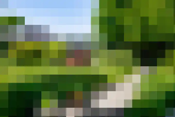 Vliek 12 Ulestraten thumbnail 15