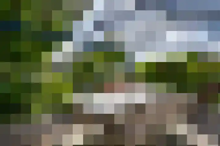 Vliek 12 Ulestraten thumbnail 16