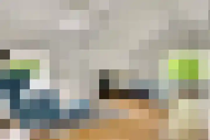 Vliek 12 Ulestraten thumbnail 17