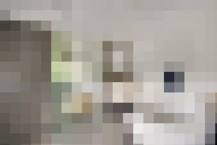 Vliek 12 Ulestraten thumbnail 20