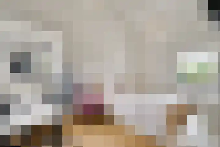 Vliek 12 Ulestraten thumbnail 21