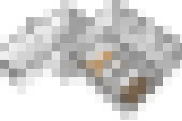 Vliek 12 Ulestraten thumbnail 27