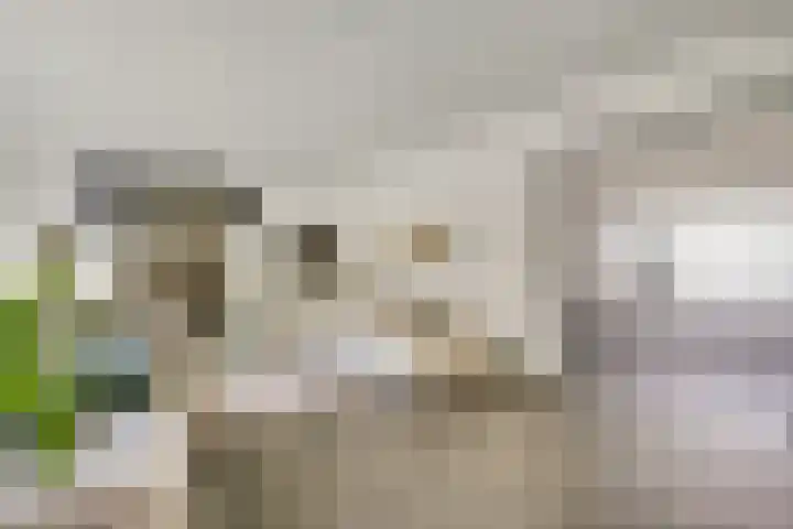 Vliek 12 Ulestraten thumbnail 7