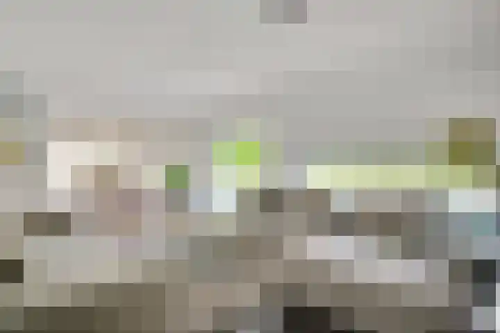 Vliek 12 Ulestraten thumbnail 8