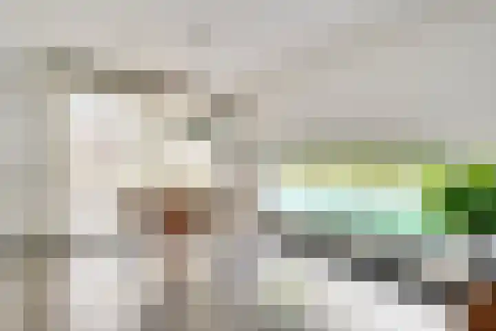 Vliek 12 Ulestraten thumbnail 9