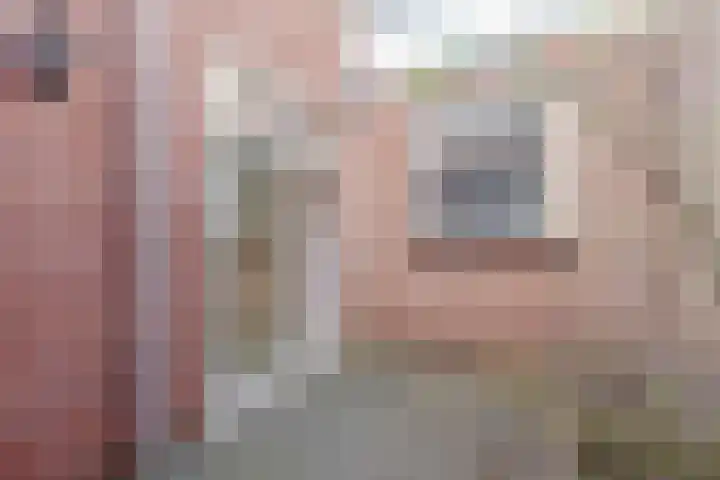 Vliek 28 Haarlem thumbnail 14