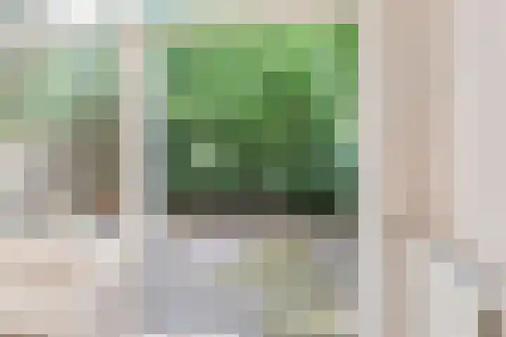 Vliek 28 Haarlem thumbnail 22