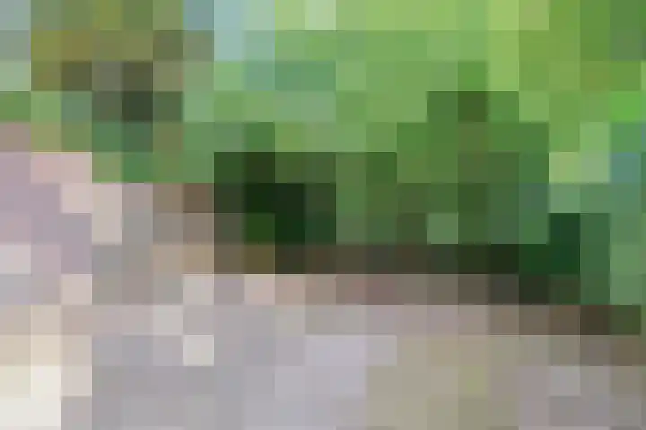 Vliek 28 Haarlem thumbnail 23