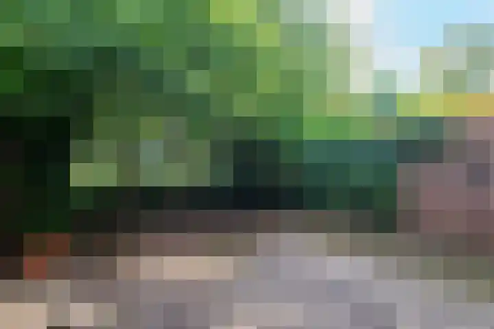 Vliek 28 Haarlem thumbnail 24