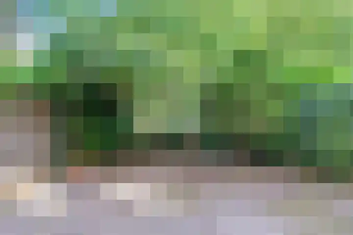 Vliek 28 Haarlem thumbnail 25