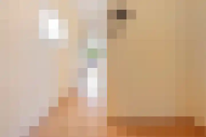 Vliek 28 Haarlem thumbnail 27