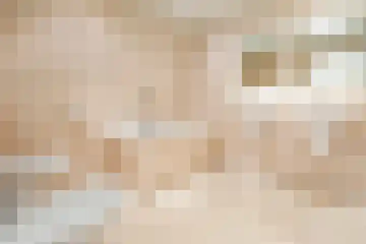 Vliek 28 Haarlem thumbnail 31
