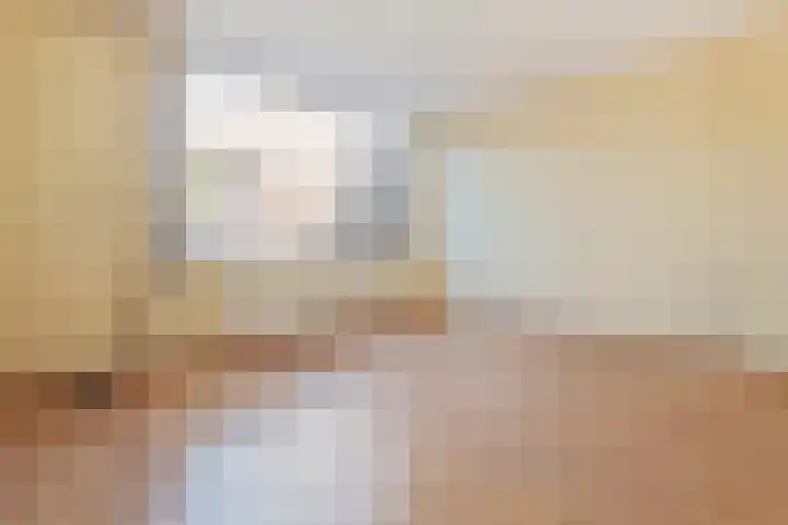 Vliek 28 Haarlem thumbnail 33