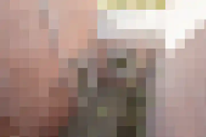 Vliek 28 Haarlem thumbnail 35
