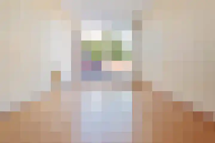 Vliek 28 Haarlem thumbnail 36