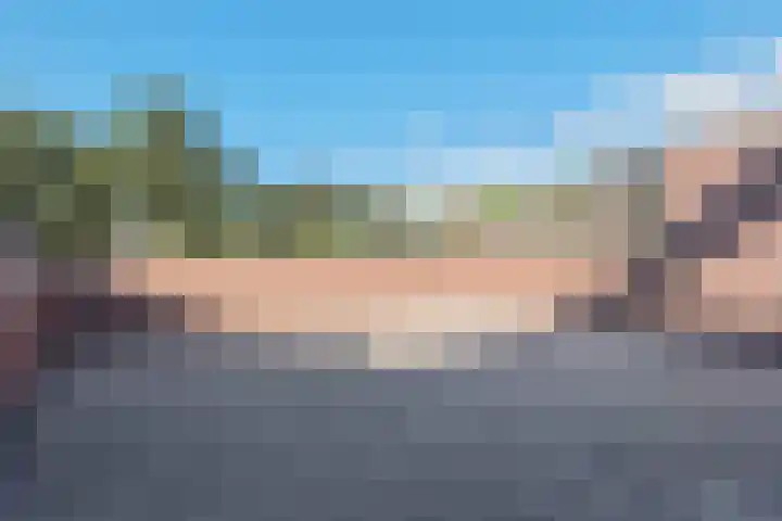 Vliek 28 Haarlem thumbnail 38