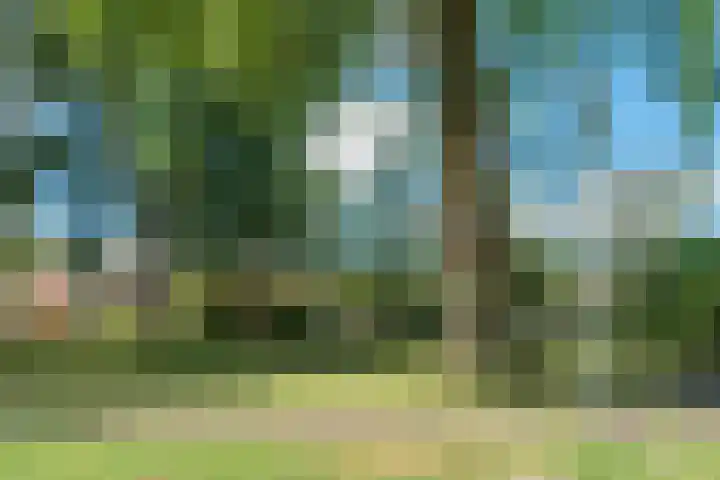 Vliek 28 Haarlem thumbnail 41