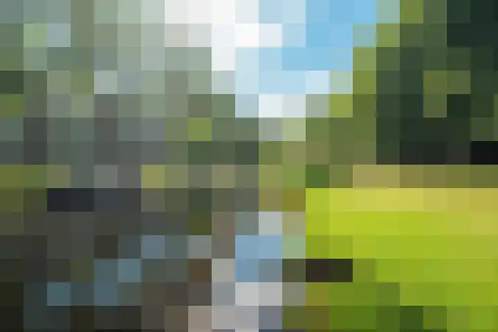 Vliek 28 Haarlem thumbnail 43