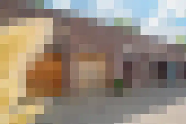 Vliek 28 Haarlem thumbnail 6