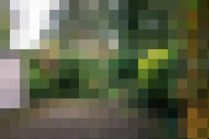 Vliek 3 Haarlem thumbnail 11