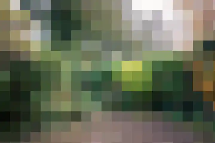 Vliek 3 Haarlem thumbnail 12