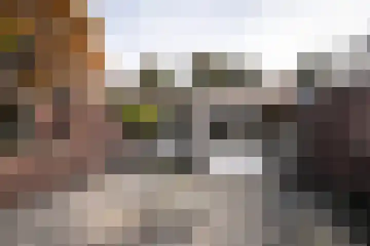 Vliek 3 Haarlem thumbnail 23