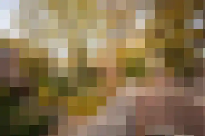 Vliek 3 Haarlem thumbnail 24