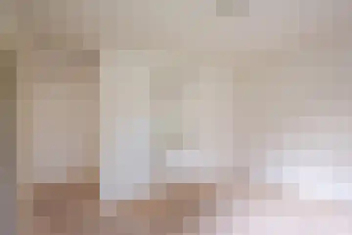 Vliek 3 Haarlem thumbnail 29