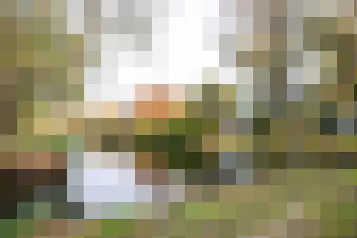 Vliek 3 Haarlem thumbnail 36
