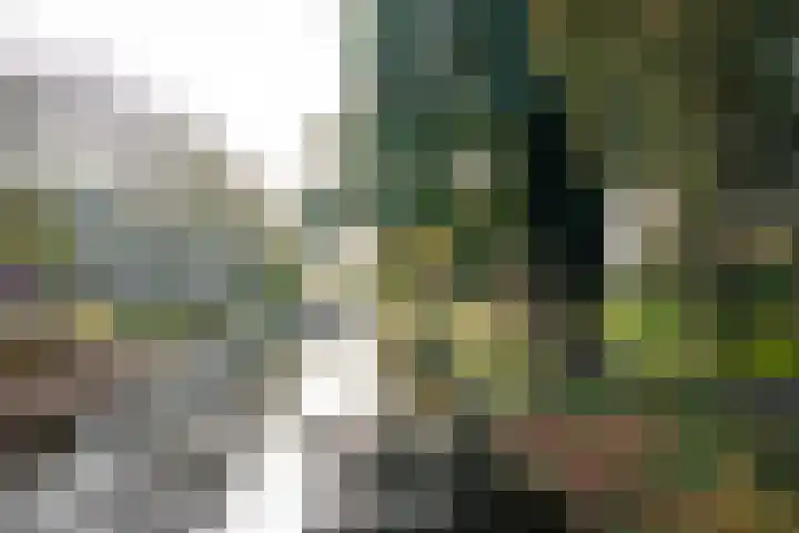 Vliek 3 Haarlem thumbnail 37