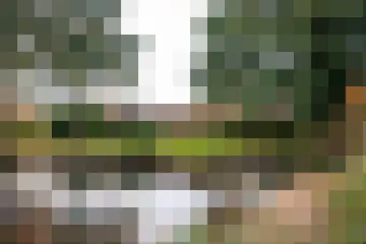 Vliek 3 Haarlem thumbnail 38