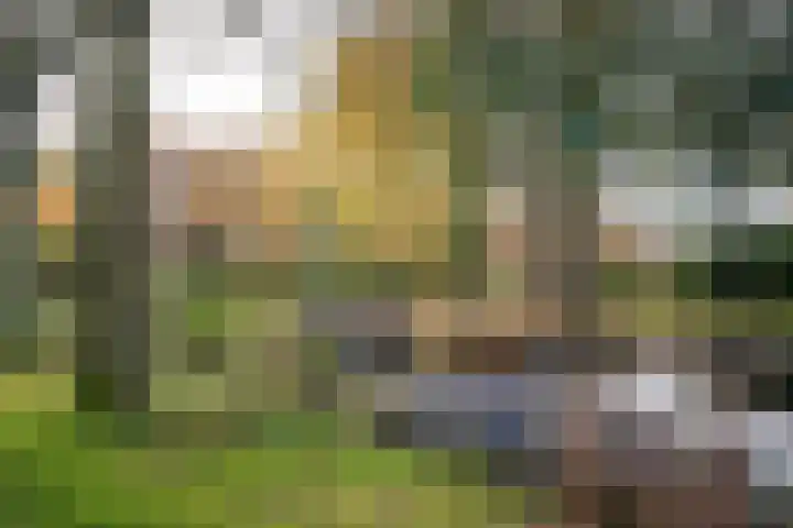 Vliek 3 Haarlem thumbnail 39