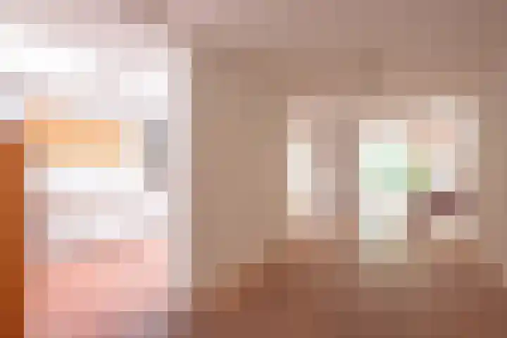 Vliek 3 Haarlem thumbnail 4